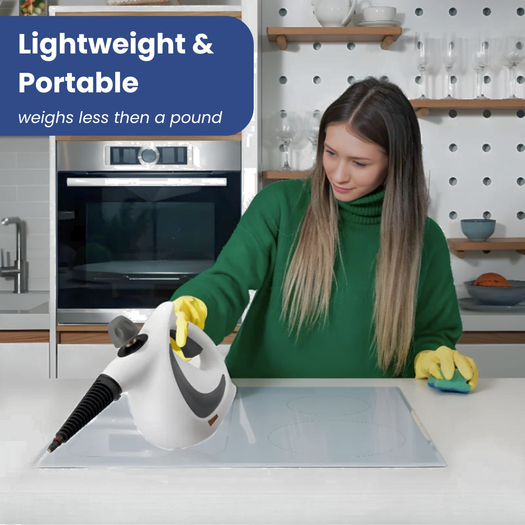Original SteamyClean Pro
