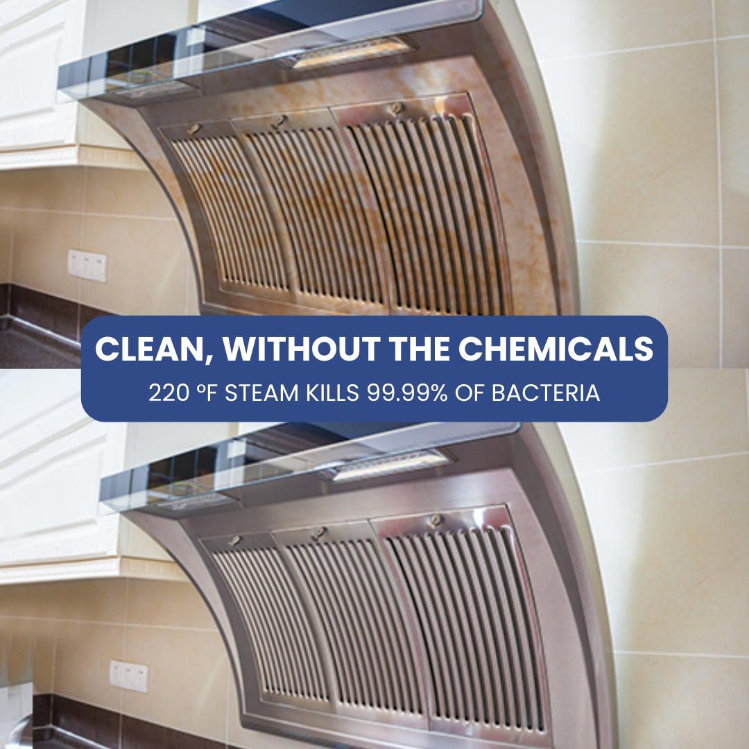 Original SteamyClean Pro